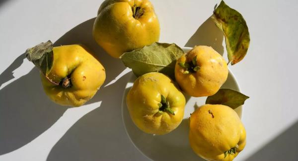 Желанная сладость: можно ли мед при похудении