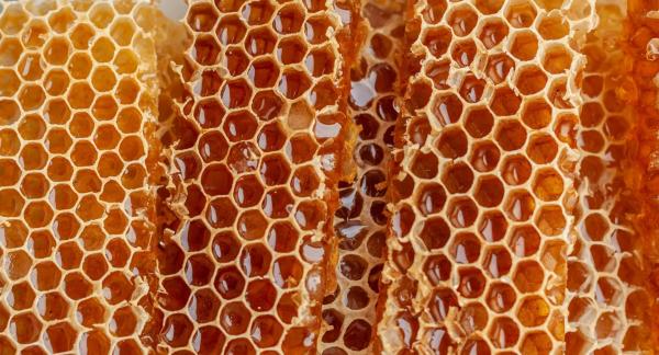 Желанная сладость: можно ли мед при похудении