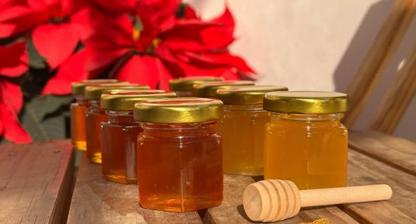 Желанная сладость: можно ли мед при похудении