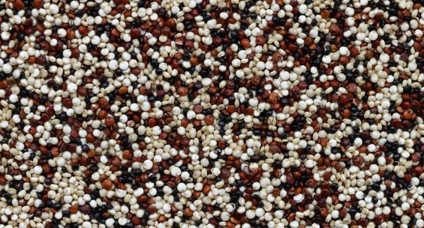 Вкусный ужин на скорую руку: 10 рецептов на полчаса 