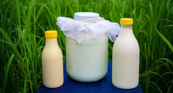 Молоко при похудении: в чем польза и какие есть ограничения
