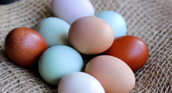 Чем полезны яйца и как их приготовить: ПП-рецепты для похудения